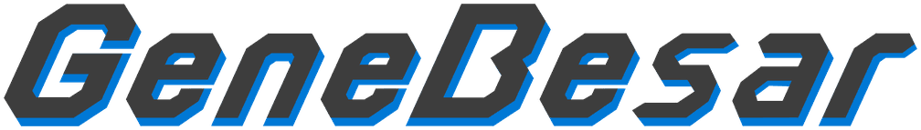 Gene Besar, IT consulting and software development company