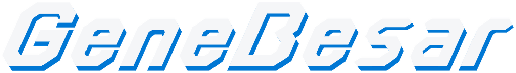 Gene Besar, IT consulting and software development company